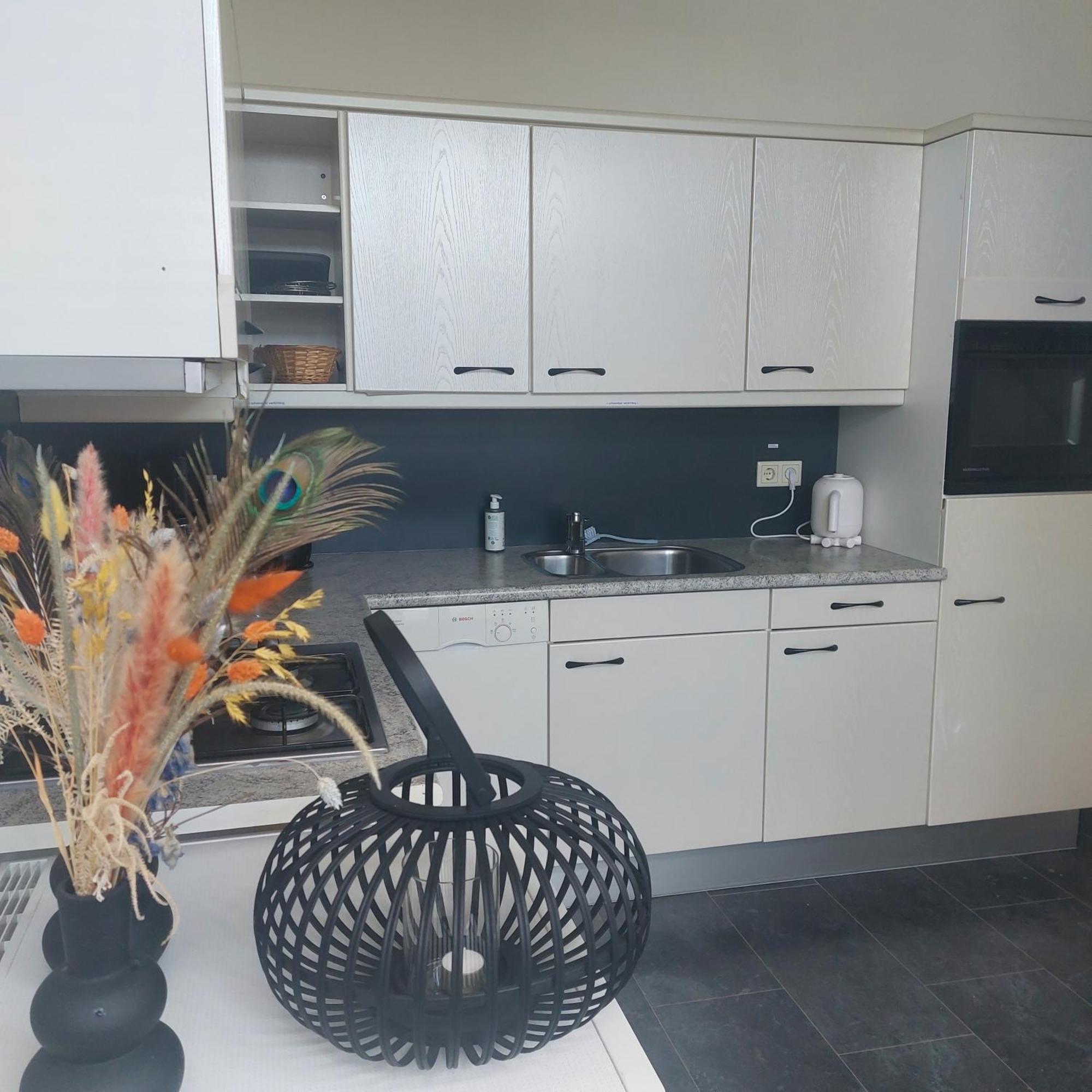 Hof Christina Vakantiewoningen Vrouwenpolder Dış mekan fotoğraf